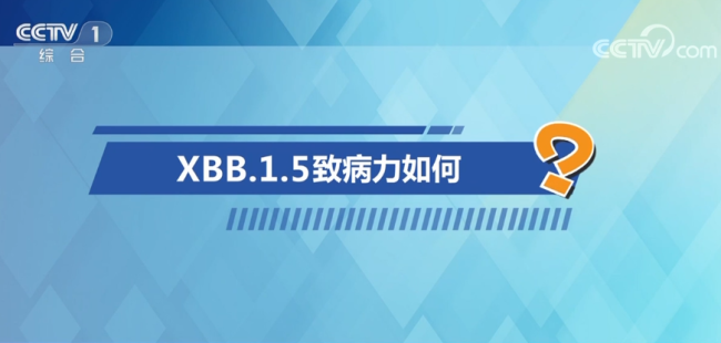 中国疾控中心专家释疑XBB毒株 回应公众关切问题