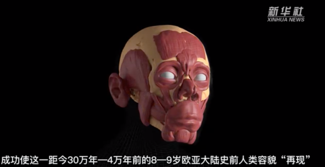 4万年前8岁男孩容貌再现