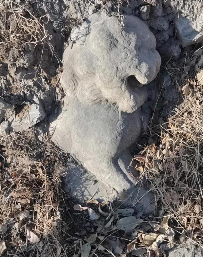 六岁男童郊野游玩 发现疑似明代石狮，这份新年礼物网友羡慕了！