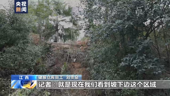 粮库门卫讲述胡鑫宇遗体发现过程：非常偶然！