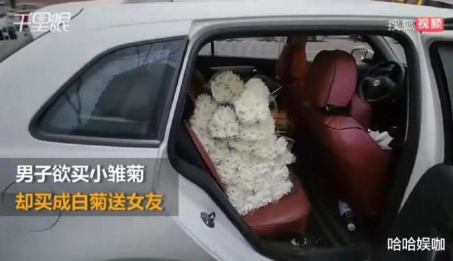 情人节前夕外滩现巨型玫瑰，浪漫设计吸引市民驻足