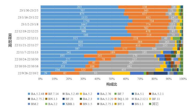 “国内首次检出XBB.1.5”冲上热搜第一，刚平静的疫情又要开始了？