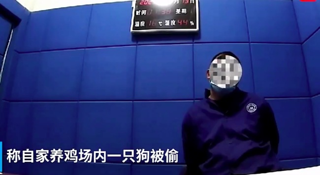 男子为讨好女友偷狗送礼：女友的孩子喜欢狗没钱就偷了！