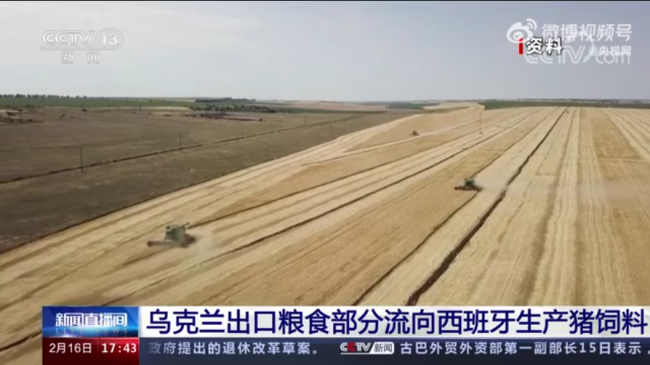 乌克兰出口粮食近半被用来喂猪
