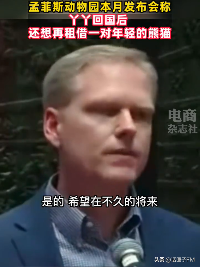 美欲再租借大熊猫引热议 