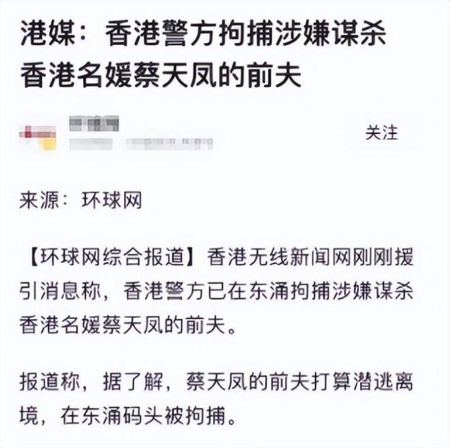 名媛蔡天凤前夫潜逃时被抓 蔡天凤是谁？