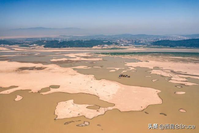 鄱阳湖又枯了，水位线跌破8米，水量补给不足，鱼群该如何生存？