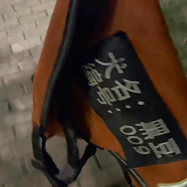 女子遛狗捡到消防犬 它们名字叫黑豆