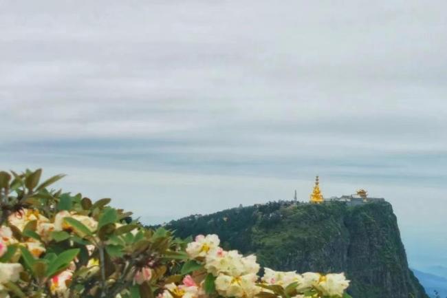 四川多景区明日女性免票 网友：有没有可能现在缺的是时间