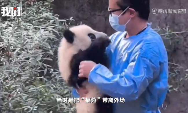 “福菀”被泼水后躲角落 网友：别逼我文明用语 