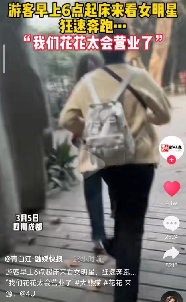 大熊猫花花粉丝人山人海 网友：好想把花花抱回家
