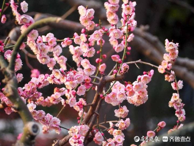 山东又到了乱穿衣的季节，“隔天如换季”的天气大戏将上演
