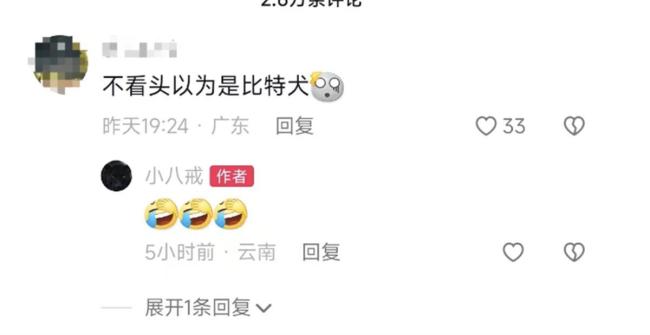 健身猪一头能卖8万元，主要用于配种