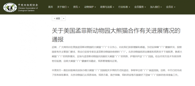 汇源发认养丫丫征集令 丫丫宝贝遭哄抢了?