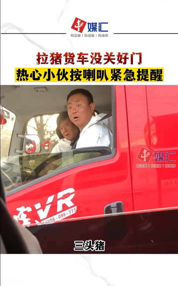 小伙提醒司机猪“越狱” 