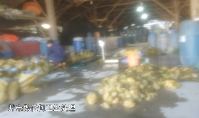 暗访潮汕腌制菜生产乱象：芥菜泡污水扔路边、工人赤脚踩原料