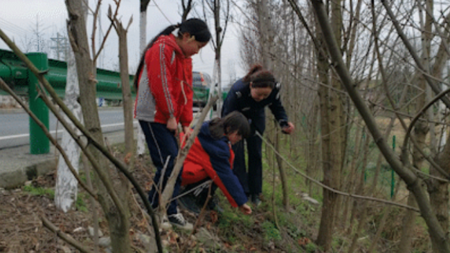 △孩子们发现罂粟果的地方