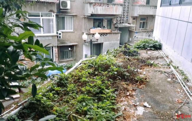 男教师坠亡 举报女生被疑诬告很委屈 涉事民警为疏忽自责