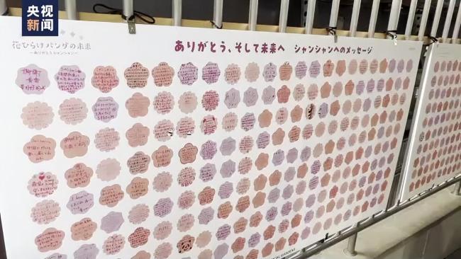 熊猫香香隔离检疫期结束：现在还有些怕见不熟悉的人