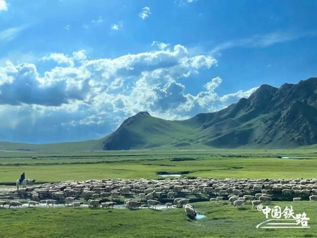 沙漠旅游环线来啦！Y字头全卧铺专列出发