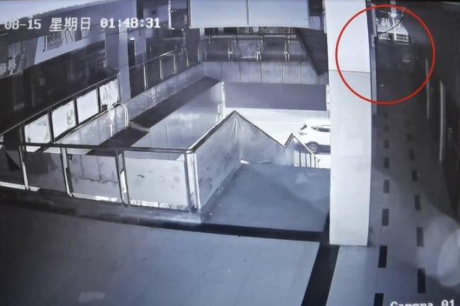 女子酒后坠亡 87户业主被起诉 业主回复：原告和护送人划分责任过轻