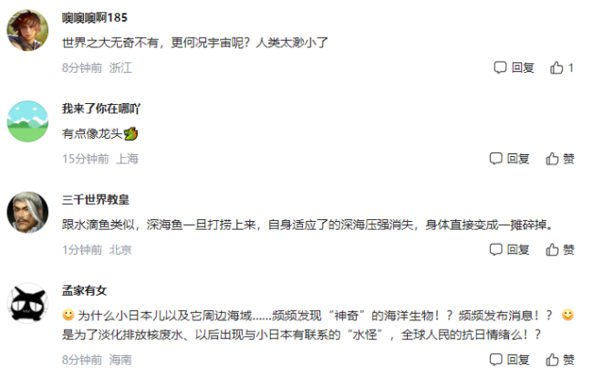 日本8336米深海发现怪鱼离开水就“融化” 网友：有点像龙头