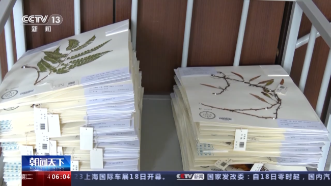 我国首个国家植物园设立一周年