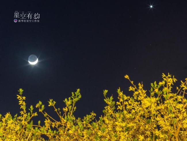 星空有約｜賞心悅目,！23日傍晚“太白”伴“嫦娥”