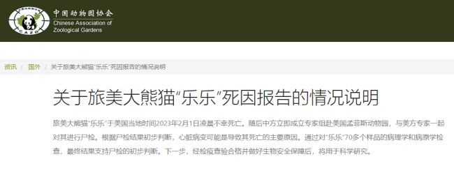 旅美大熊猫“乐乐”死因报告发布：主要死亡可能是心脏病变