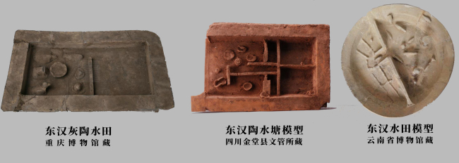 文博日历丨栽种立夏秧 稻谷满粮仓