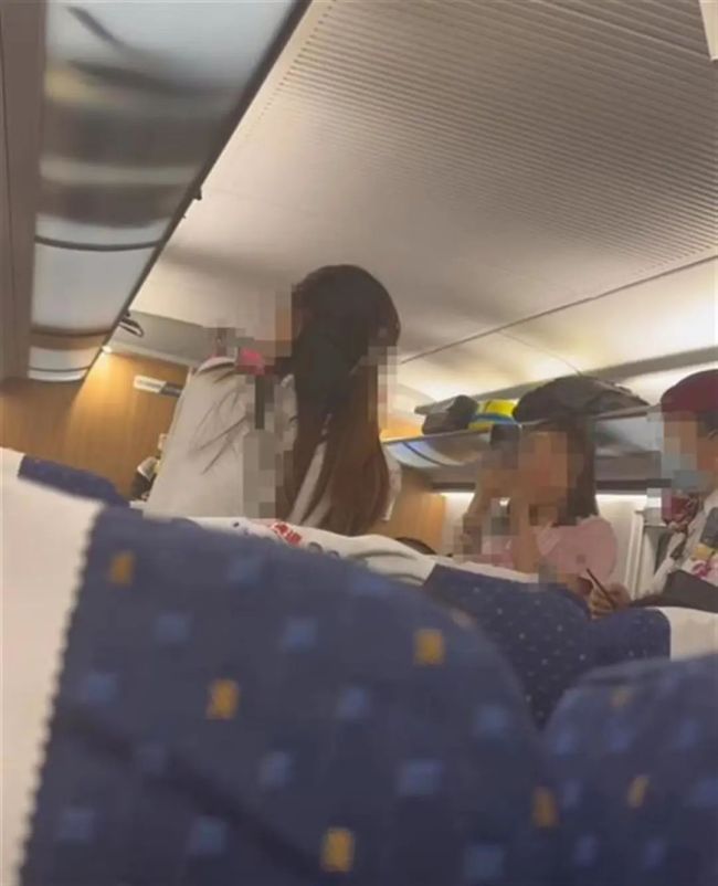 女子遭掌掴还手被认定为互殴引热议 已在申请行政复议