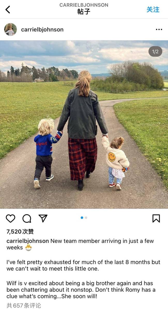 英前首相约翰逊妻子怀孕，其即将成为“8孩爸爸” 