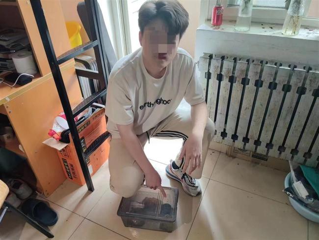 大学生恶意索赔商家被拘：网购虫子塞进零食 索赔43次