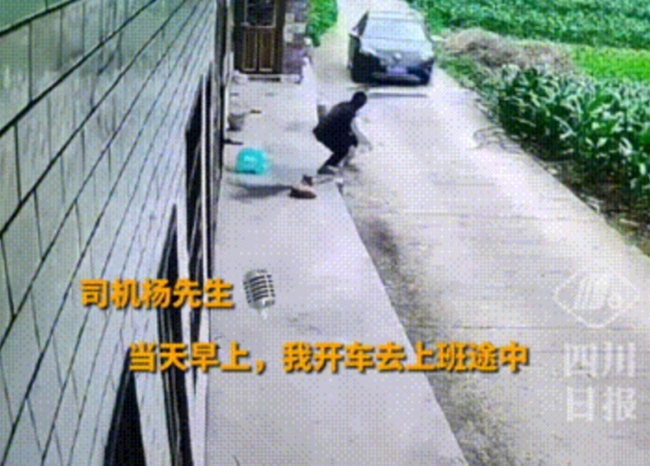 男子开车上班被老人碰瓷