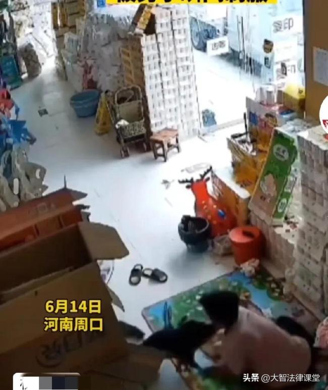 恶犬进入店内咬人被制服 事情引起网友们不同的意见