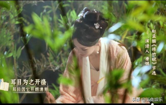 唐嫣演出古代才女的竹韵风骨（唐嫣斯文江南节目元代才女剧照）
