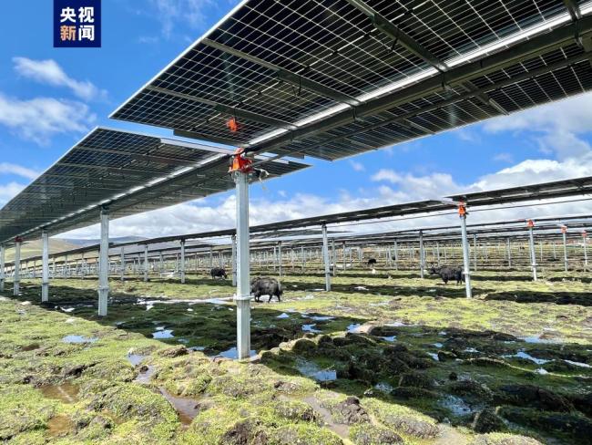 全球最大、海拔最高“水光互补”电站投产