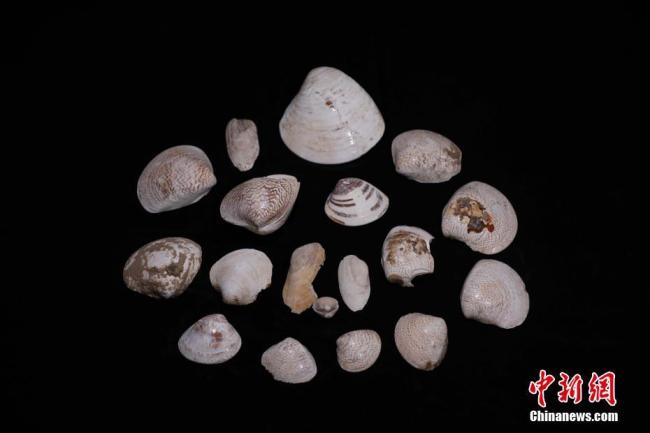 西安西郊发现唐代宫人墓地 墓主皆系20岁至30岁的年轻女性 