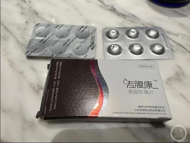 女子制售救猫药案宣判：获刑15年处4000万罚金 钻法律漏洞牟取暴利