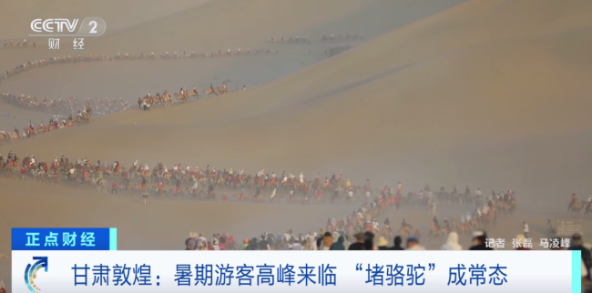 敦煌又双叒叕堵骆驼了！驼队沿着山势蜿蜒起伏 场面壮观 