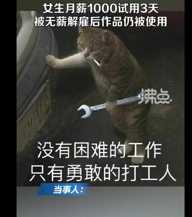 女生称试用3天后被无薪解雇：月薪仅1000元 事后发现作品仍被使用