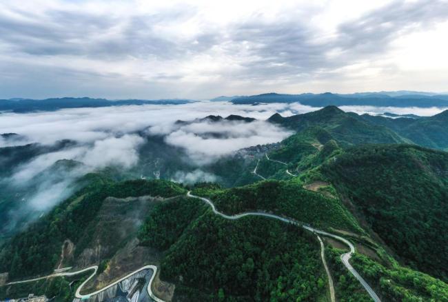 中国低碳发展助扩全球绿色版图