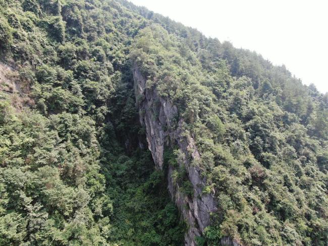 痛心！湖南失联女子遗体已被找到 据说每一株这样的百合花下面都有一个安息的灵魂