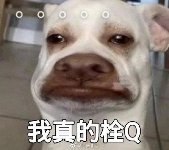 男子伸咸猪手被抓后求饶：胸痛、下跪、哭闹、寻短见齐上阵