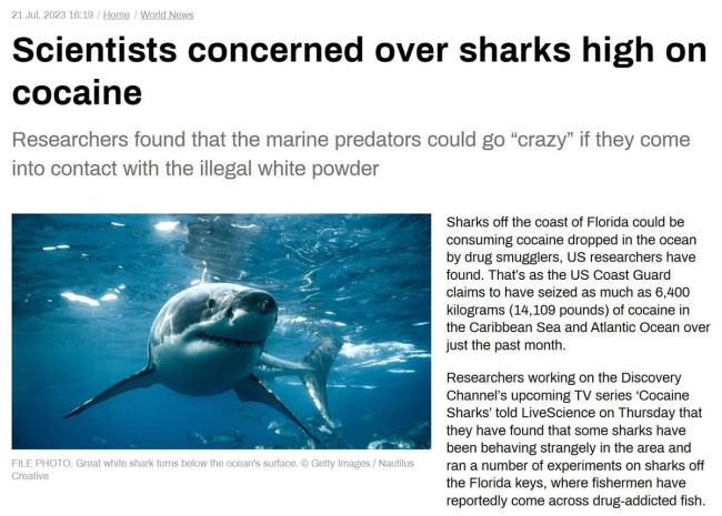 美国专家调查发现：佛州毒贩扔毒品或致鲨鱼上瘾