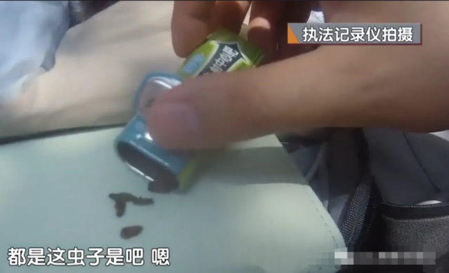 男子含着蟑螂下馆子敲诈 惊呆网友：有这毅力做什么不好