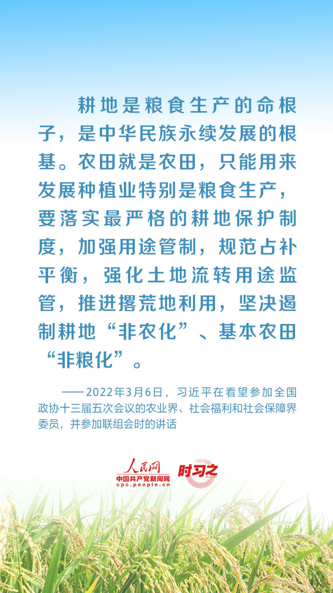 时习之 全方位夯实粮食安全根基 习近平强调切实加强耕地保护