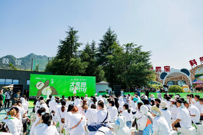 大熊猫七仔被鸿星尔克认养 网友：有底气，不再疑神疑鬼了