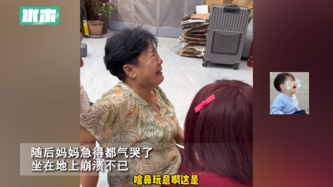 狗子顽皮掉大酱缸里把妈妈气哭 看监控又忍不住哈哈大笑