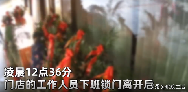 门店刚开业不久下班后门口花篮就遭洗劫一空？大妈“顺手牵羊”动作娴熟 现已报警处理